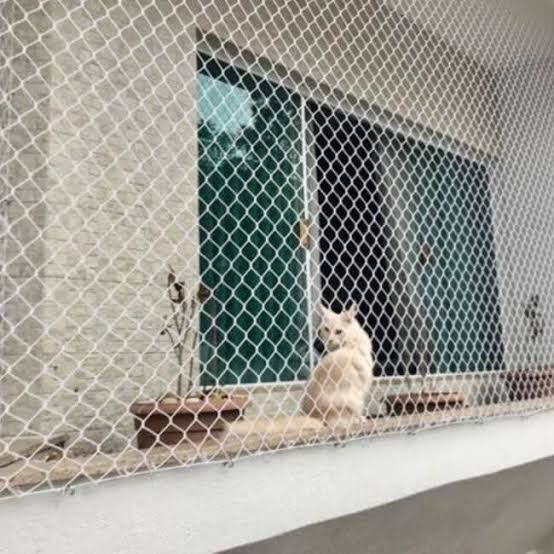 WhatsApp Image 2024 10 12 at 09.31.36 1